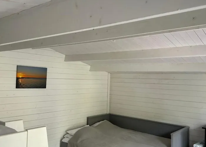 Viscosa Caempings Kõrgessaare